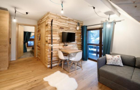 Отель Alpini Apartamenty  Закопане